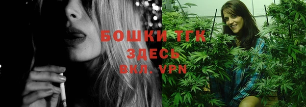 сатива Надым