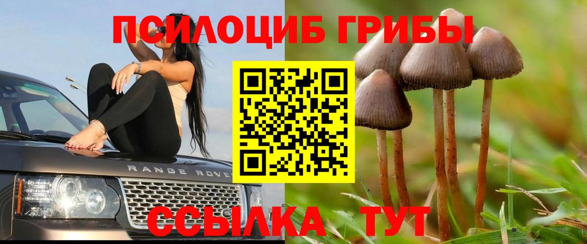 Галлюциногенные грибы Magic Shrooms Омск