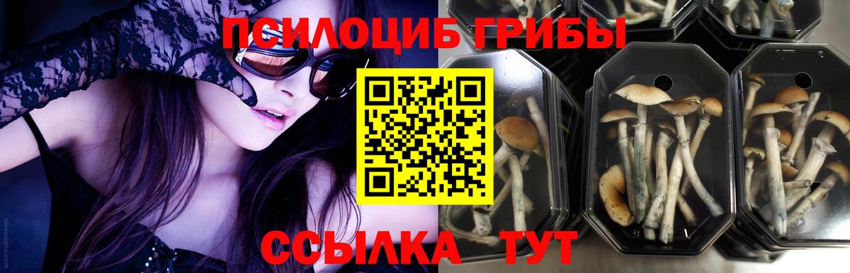 Псилоцибиновые грибы мухоморы Омск