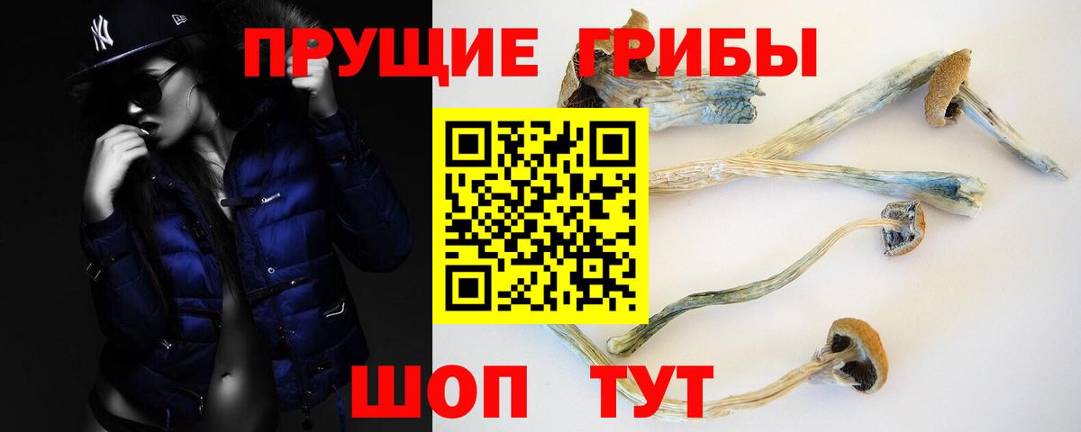 Псилоцибиновые грибы Psilocybe  Омск  Галлюциногенные грибы прущие грибы 